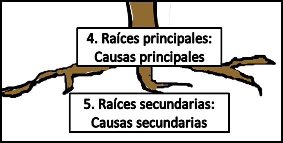 Raíces - causas